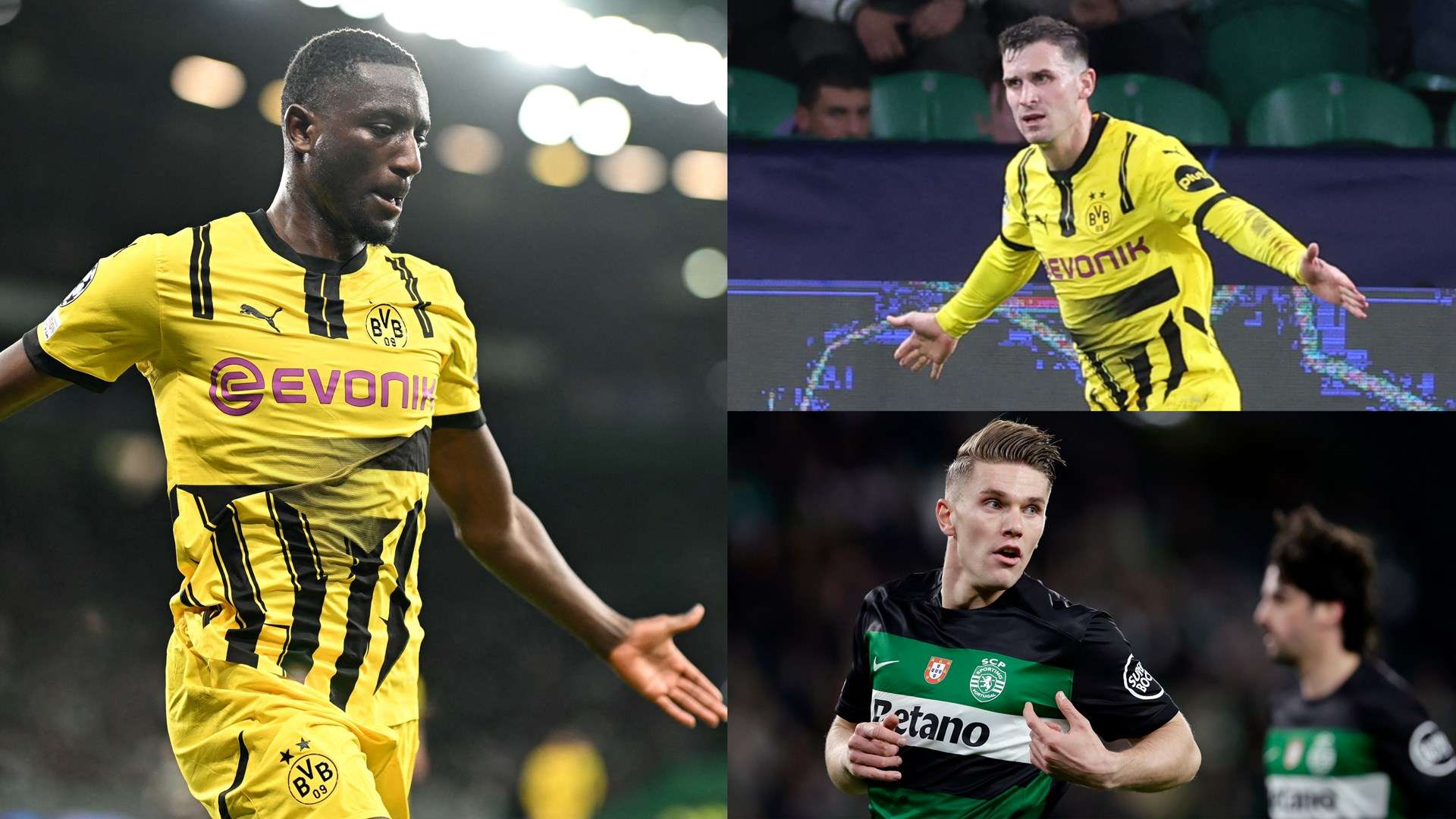 和年轻球员 和年轻球员