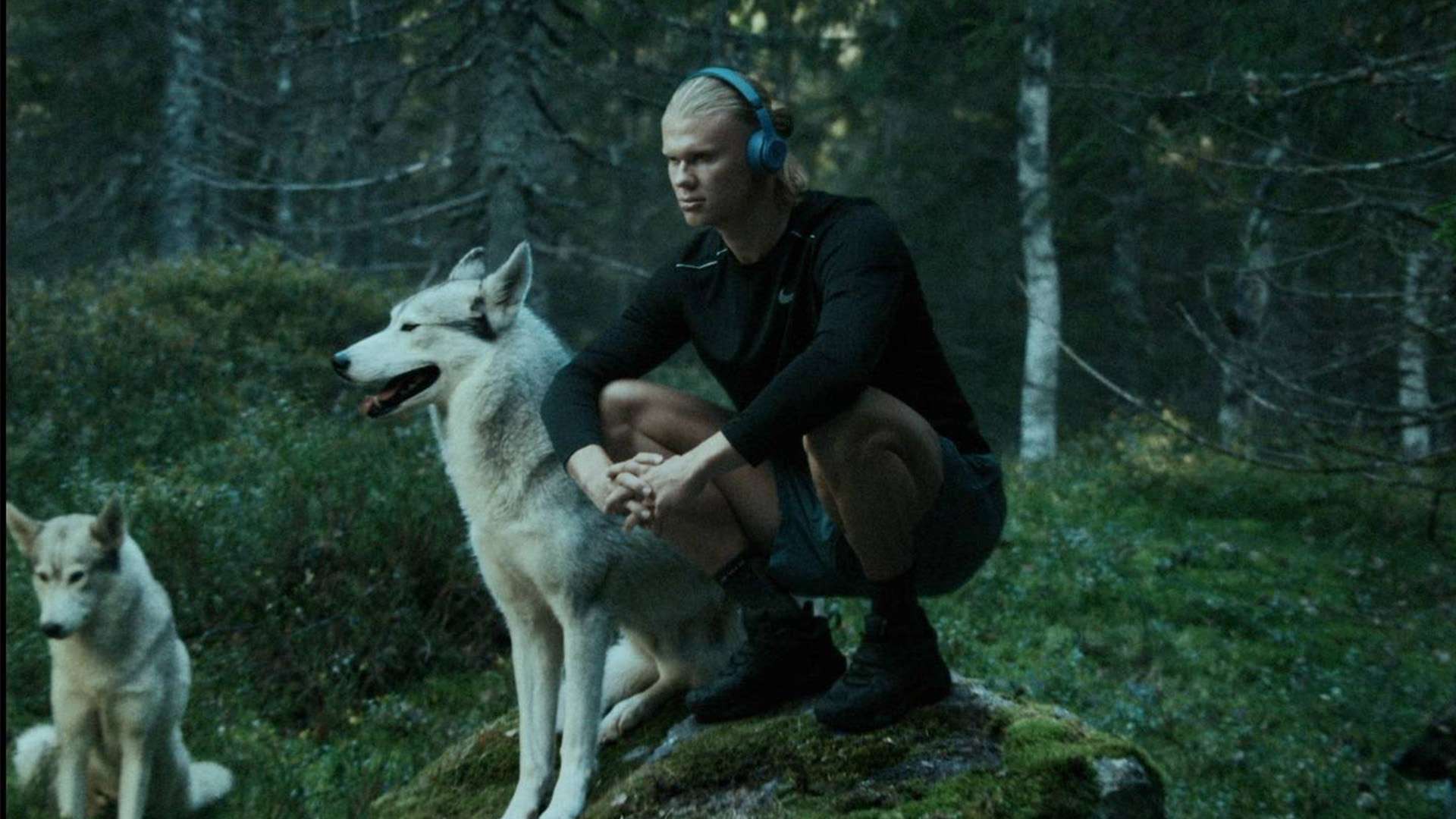 布阵策略 布阵策略