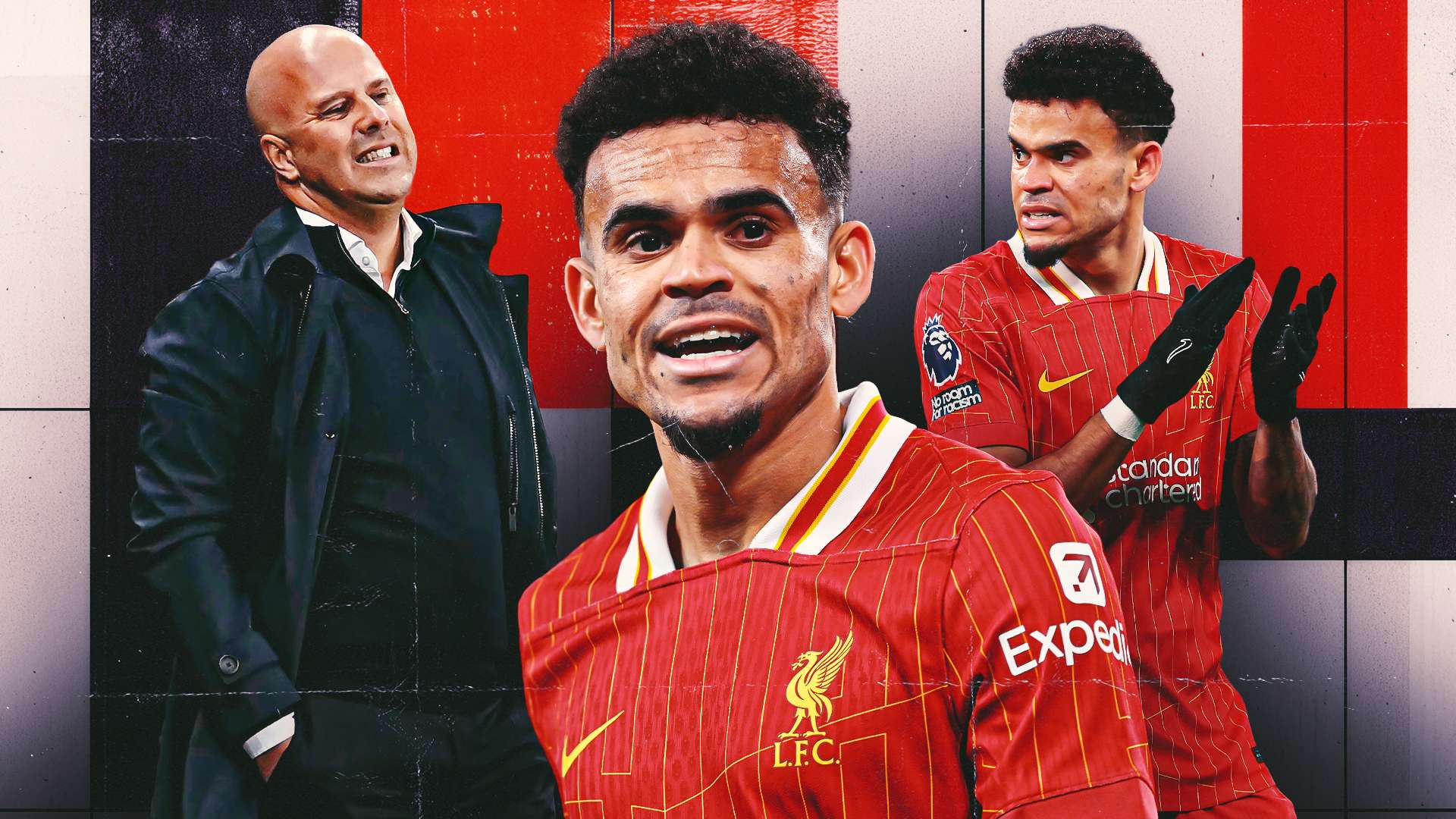 仅限于教练 仅限于教练